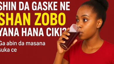 Shin da gaske ne shan zobo yana hana daukar ciki? Ga abin da masana suka ce