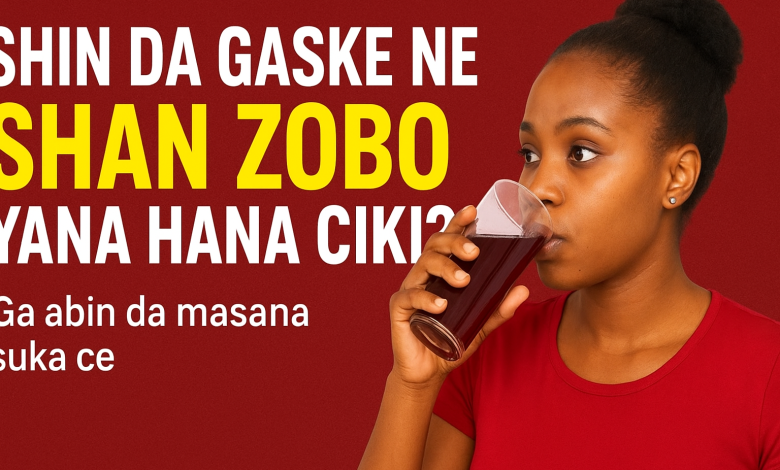 Shin da gaske ne shan zobo yana hana daukar ciki? Ga abin da masana suka ce