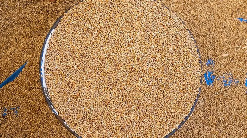 Amfanin dawa, abinci mai sinadaran gina jiki da amfaninsa ga lafiyar dan adam.