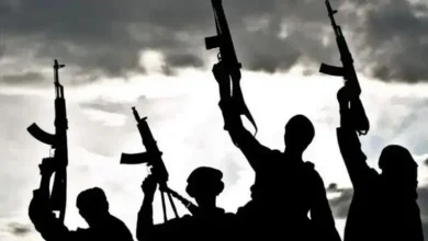 Hoton jama’a a yankin Tillabéri, Nijar, inda Human Rights Watch ta ce mayaƙan IS-Sahel sun kashe sama da mutum 127 tare da ƙone gidaje da satar dukiya.