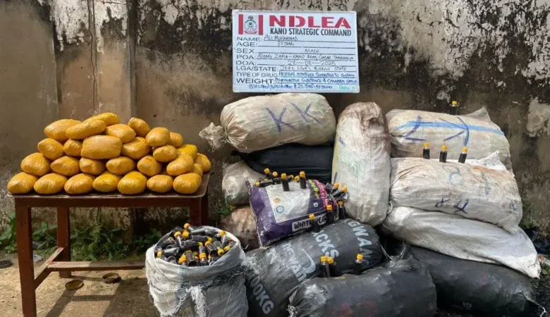 Akurkura a Arewacin Najeriya: Illoli, Bincike da Matakan NDLEA